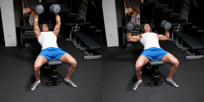 sfidn-incline-dumbel-bench-press