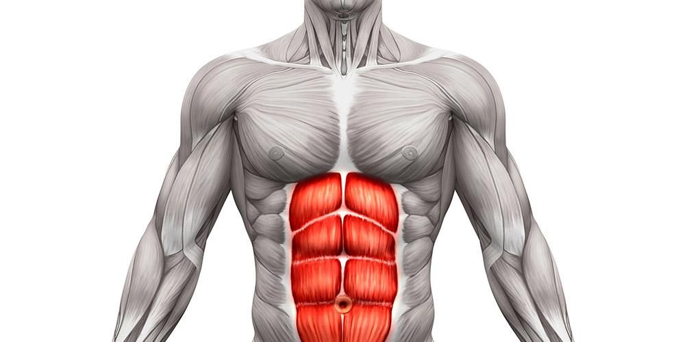 sfidn-otot-abdominal