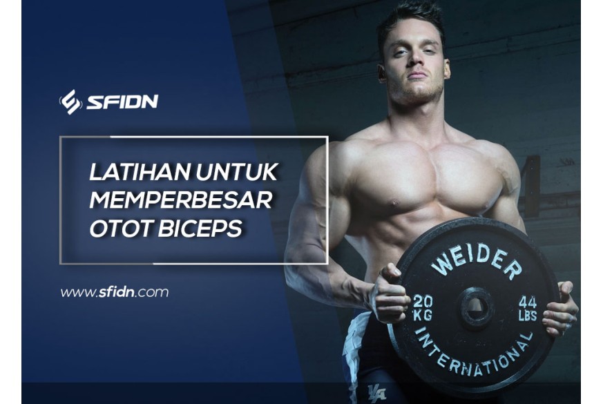 sfidn - Latihan untuk Memperbesar Otot Biceps