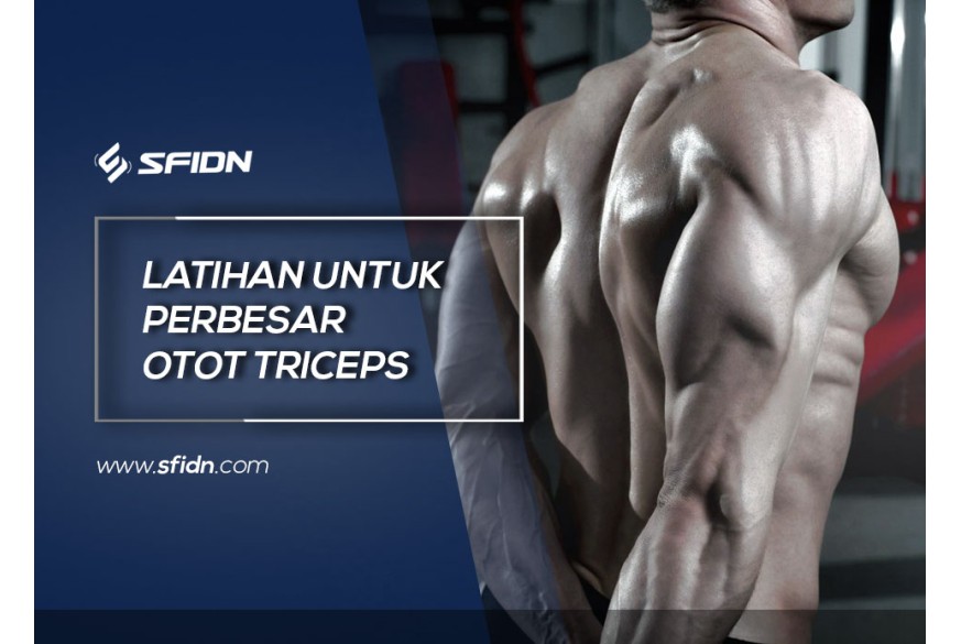 sfidn - Latihan Memperbesar Otot Triceps