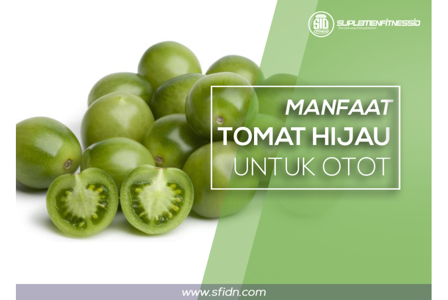 sfidn - Manfaat tomat hijau untuk otot