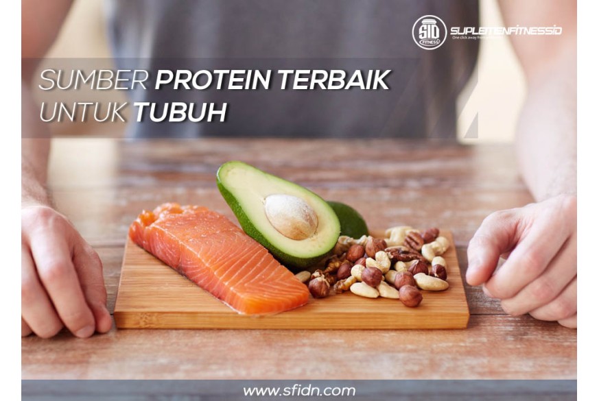 sfidn - Sumber protein terbaik untuk tubuh