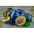 5 Manfaat Buah Plum yang Menyehatkan Tubuh