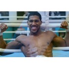 Anthony Joshua Workout