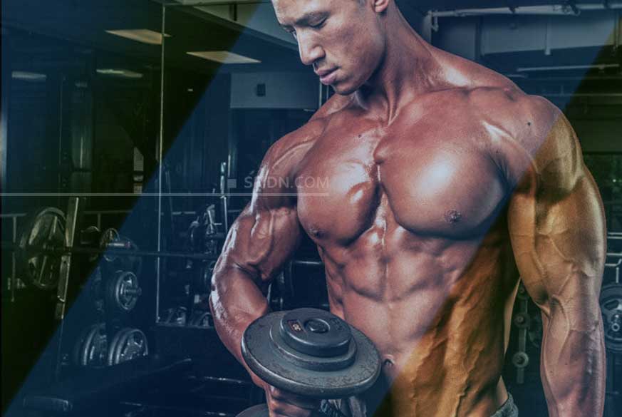 Bulking 101 Sfidn Science From Indonesia Articles 8284