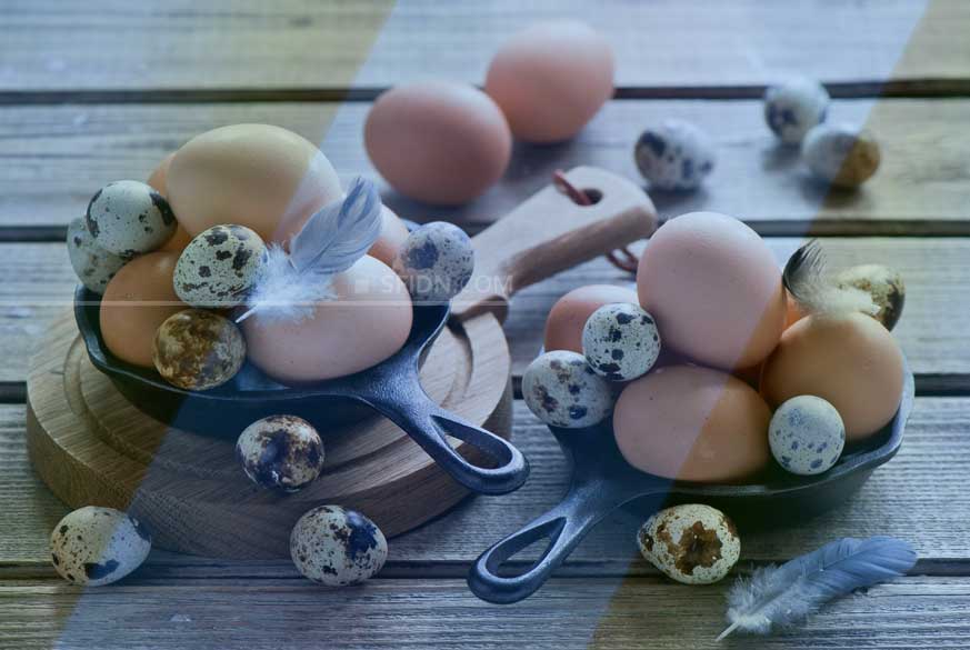 Telur Ayam VS Telur Puyuh, Mana yang Lebih Bergizi ...