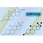 10 Fakta Kortisol yang Menarik untuk Diketahui