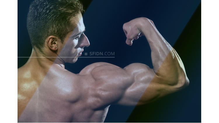 sfidn - 4 Latihan Biceps Terbaik Tanpa Alat untuk Semua Level Kebugaran