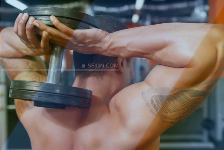 Cara Besarkan Otot Tricep Dengan Dumbbell Sfidn Science From Indonesia Articles