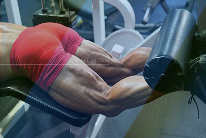 Latihan glutes discount