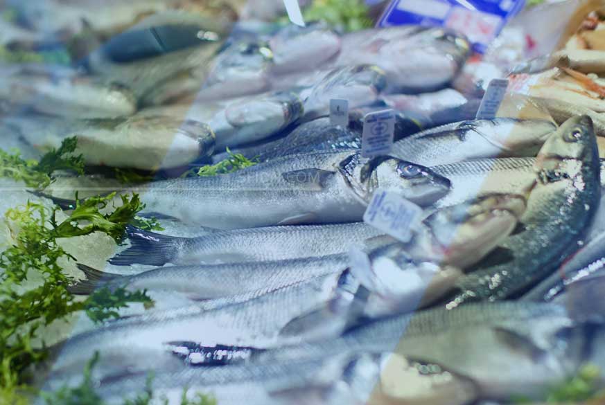 6500 Koleksi Perbedaan Ikan Air Tawar Dan Ikan Air Laut Dalam Hal Adaptasi Terbaik