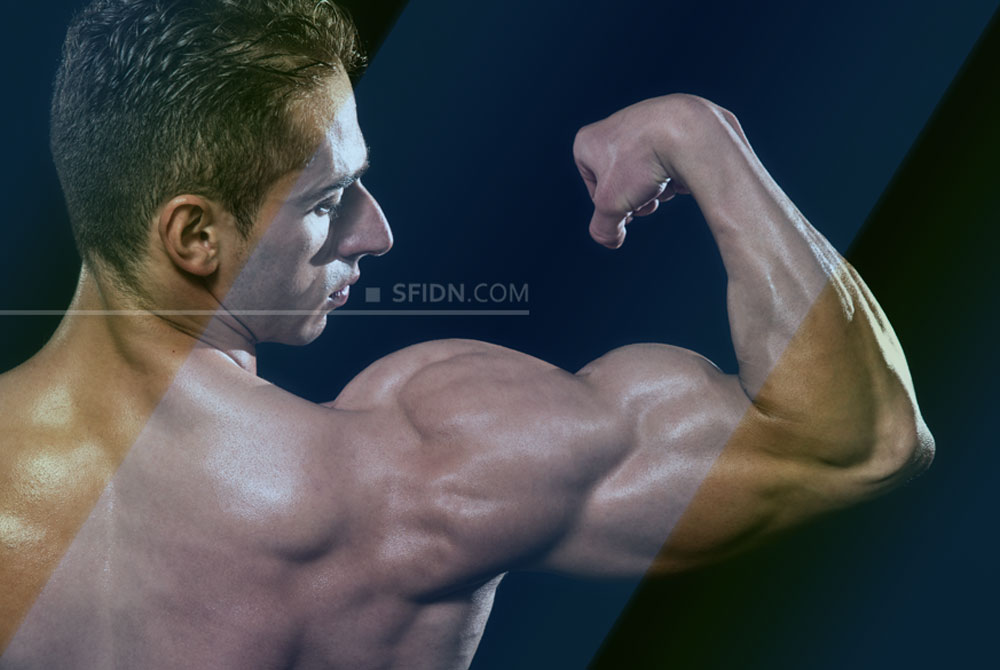 sfidn - 4 Latihan Biceps Terbaik Tanpa Alat untuk Semua Level Kebugaran