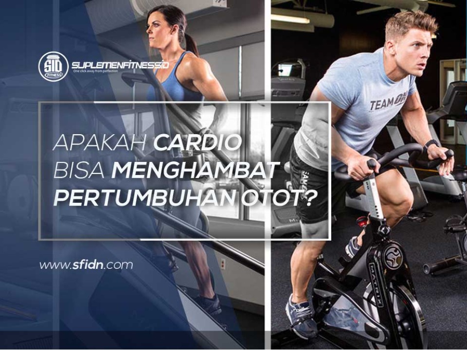 Apakah Cardio bisa Hambat Pertumbuhan Otot