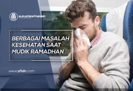 Masalah dan Solusi Kesehatan Saat Mudik Lebaran