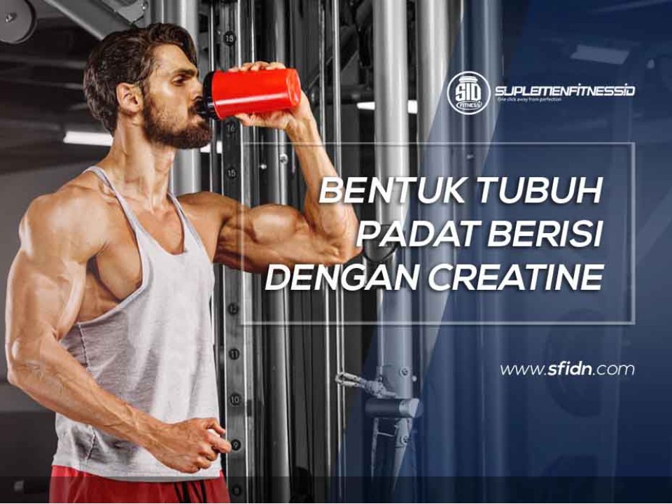 Bentuk Tubuh Padat Berisi dengan Creatine