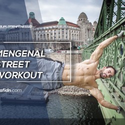 Fitness Gaya Baru Street Workout