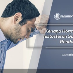 Kenapa Hormon Testosterone Saya Rendah?