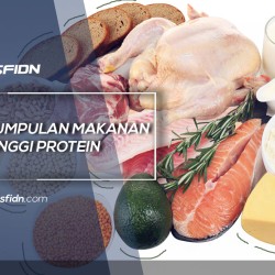 Kumpulan Makanan Tinggi Protein