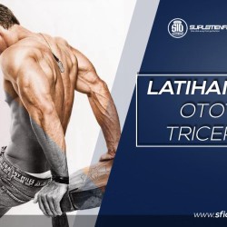 Latihan Otot Tricep