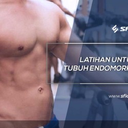 Latihan untuk Tubuh Endomorph