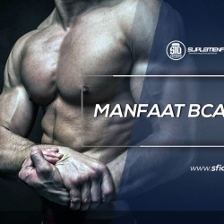 Branched Chain Amino Acids