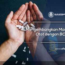 Mengembangkan Massa Otot dengan BCAA