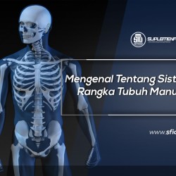 Mengenal Tentang Sistem Rangka Tubuh Manusia