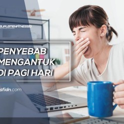 Penyebab Mengantuk di Pagi Hari