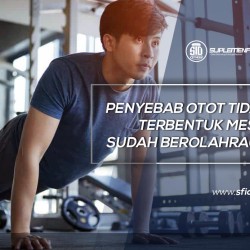 Penyebab Otot Tidak Terbentuk