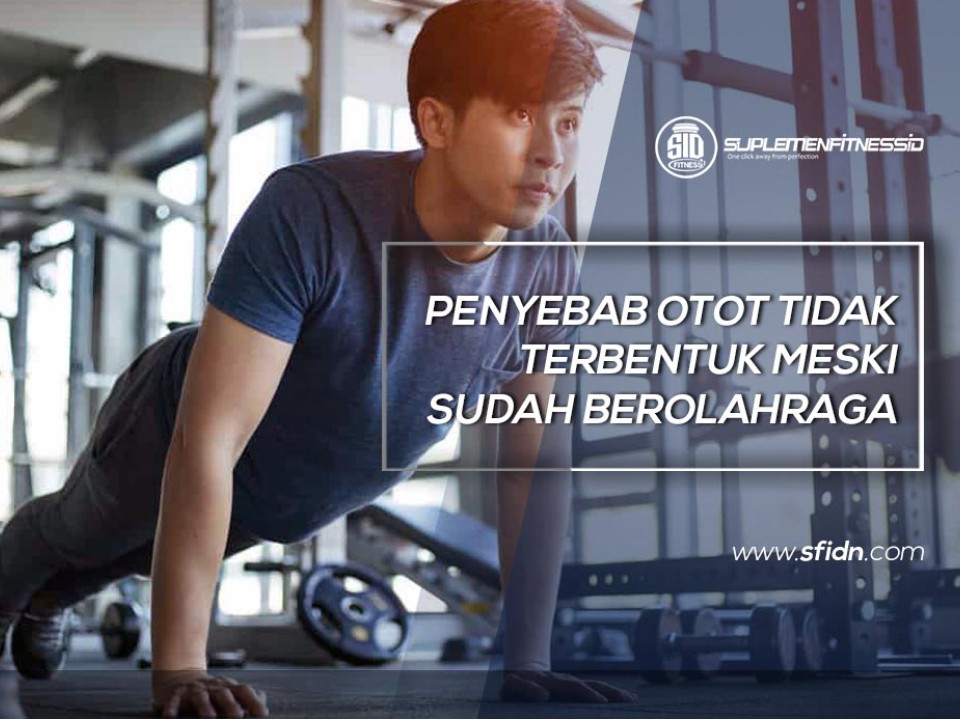 Penyebab Otot Tidak Terbentuk