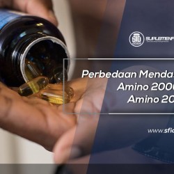 Perbedaan Mendasar Amino 2000 & Amino 2002