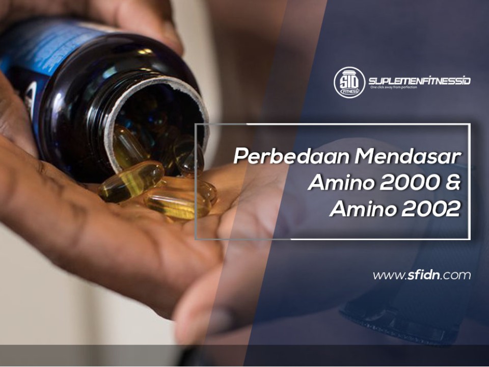 Perbedaan Mendasar Amino 2000 & Amino 2002