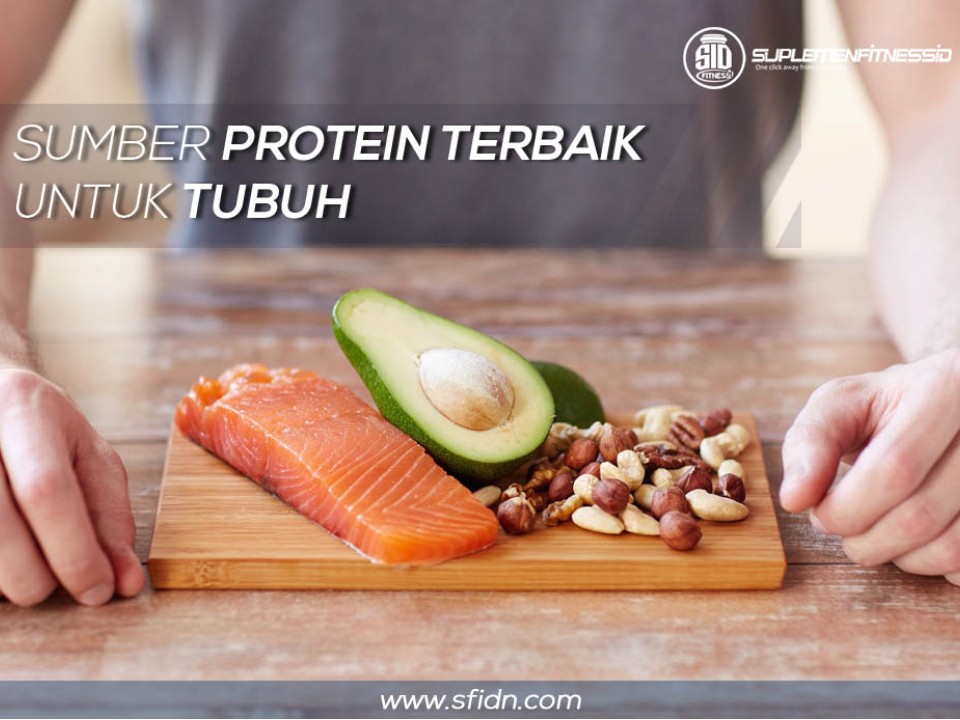 Sumber protein terbaik untuk tubuh