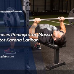 Proses Peningkatan Massa Otot Karena Latihan