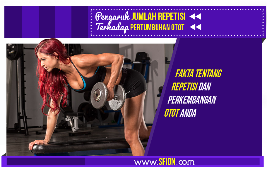 sfidn - Pengaruh Jumlah Repetisi Terhadap Pertumbuhan Otot