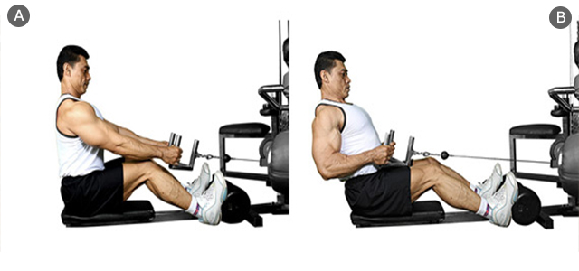 Seated Cable Row